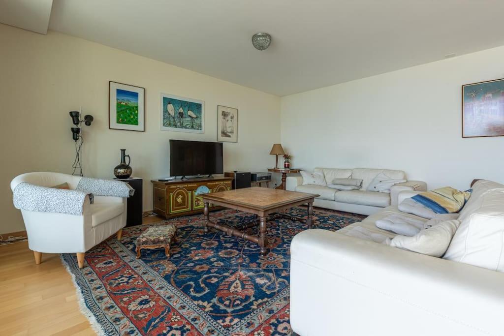 Lakeside-Apartment-1 Grand Appartement Familial Avec Terrasses Et Vue Panoramique Vevey Eksteriør billede